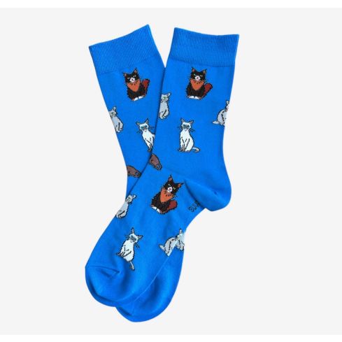 Sinised sokid kassidega meikun kass, sphynx kass, oriental kass