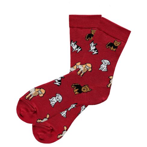 punased sokid koertega bulldog yorkshiri terjer puudel bolonka mops