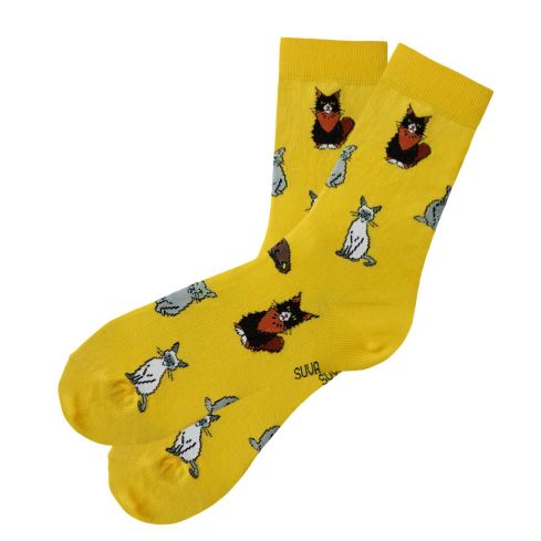 Sokid kassidega kollast värvi, meikun, sphynx, oriental kassid