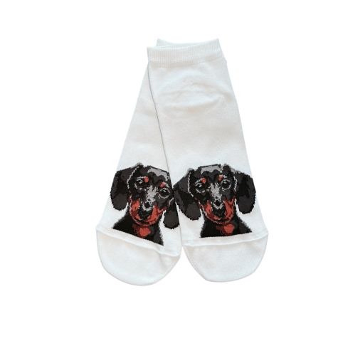 Matalat sukat koira kuvalla - Taksi