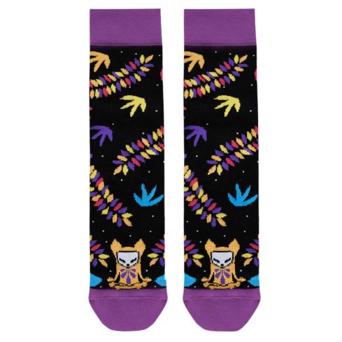 Okeiko sokid Unirebane