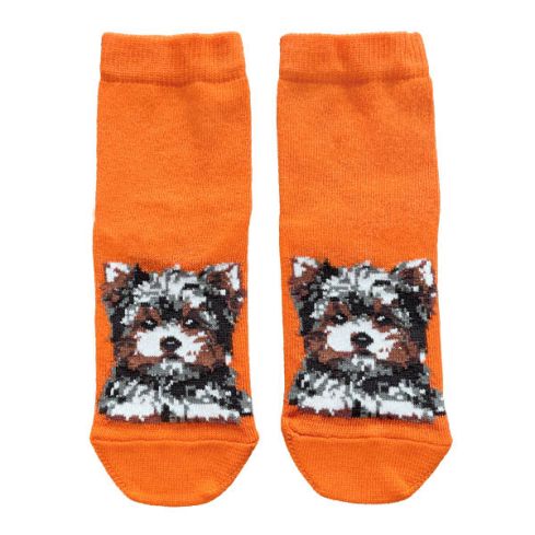 Childrens socks with a dog Yorkshire Terrier, orange