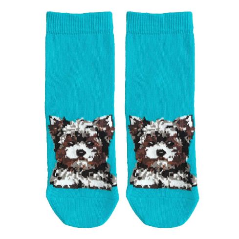 Childrens socks with a puppy Yorkshire Terrier