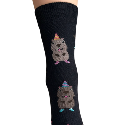 Sinu kõige chillimad sokid - Kapibaara