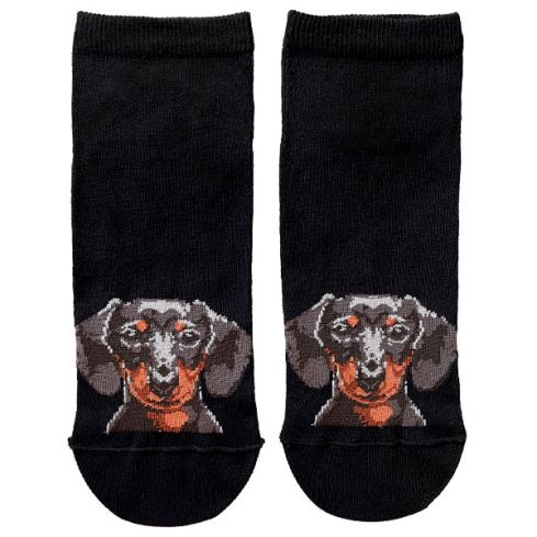 Madalad sokid koera pildiga - väike Taks